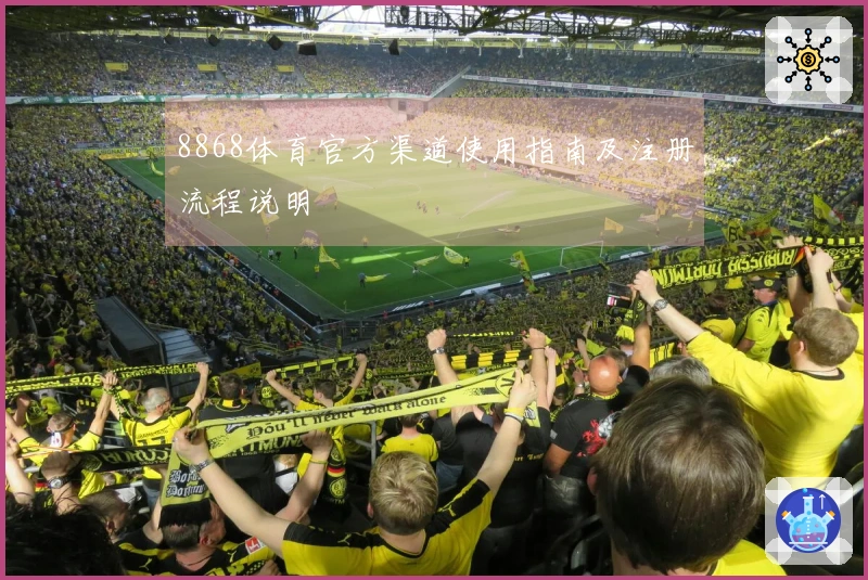 8868体育官方渠道使用指南及注册流程说明